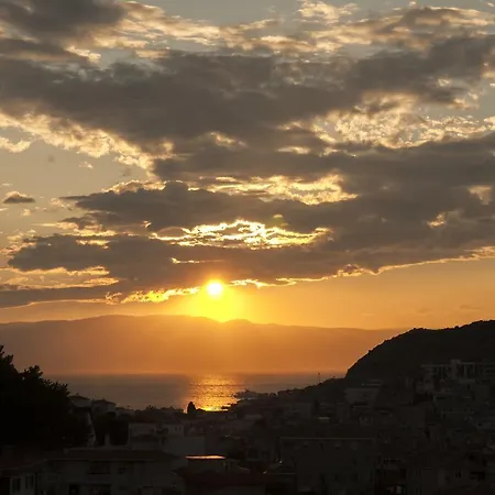 酒店 阳光酒店 2*